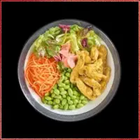 Wagamama Chicken Katsu Bowl — crispy breaded chicken with Japanese curry drizzle, sticky rice, and salad garnish.